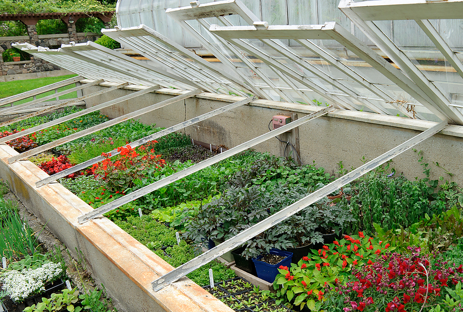 Mastering Cold Frames and Hotbeds for Early Starts and Late Harvests