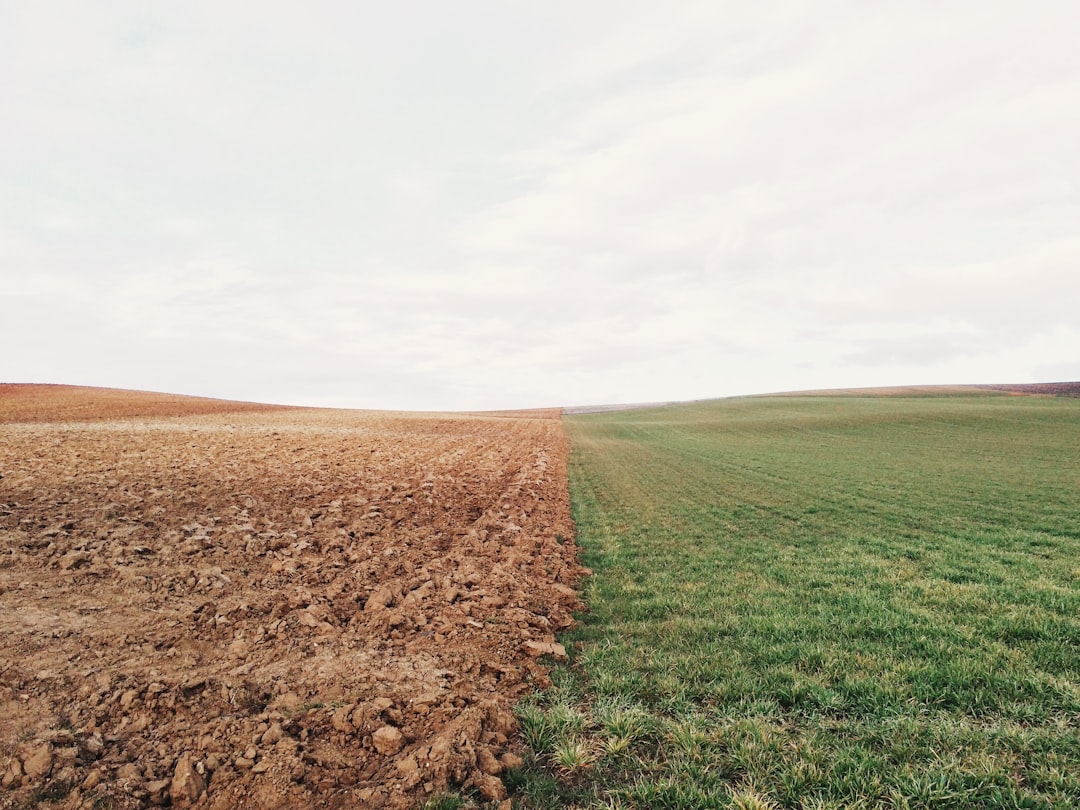 Cover Cropping: A Farmer's Best Friend for Soil Health