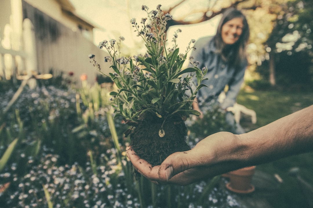 How does gardening impact cognitive function and focus