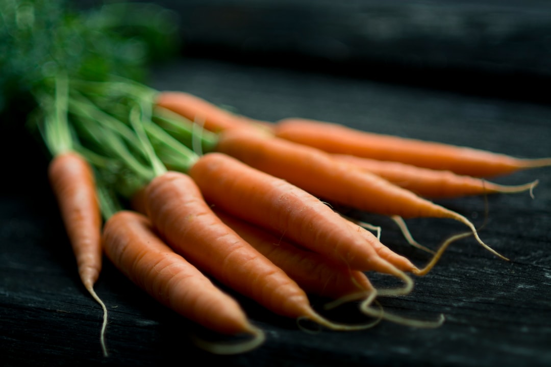 Raised Bed Gardening: An Easier Way to Start Your First Vegetable Patch