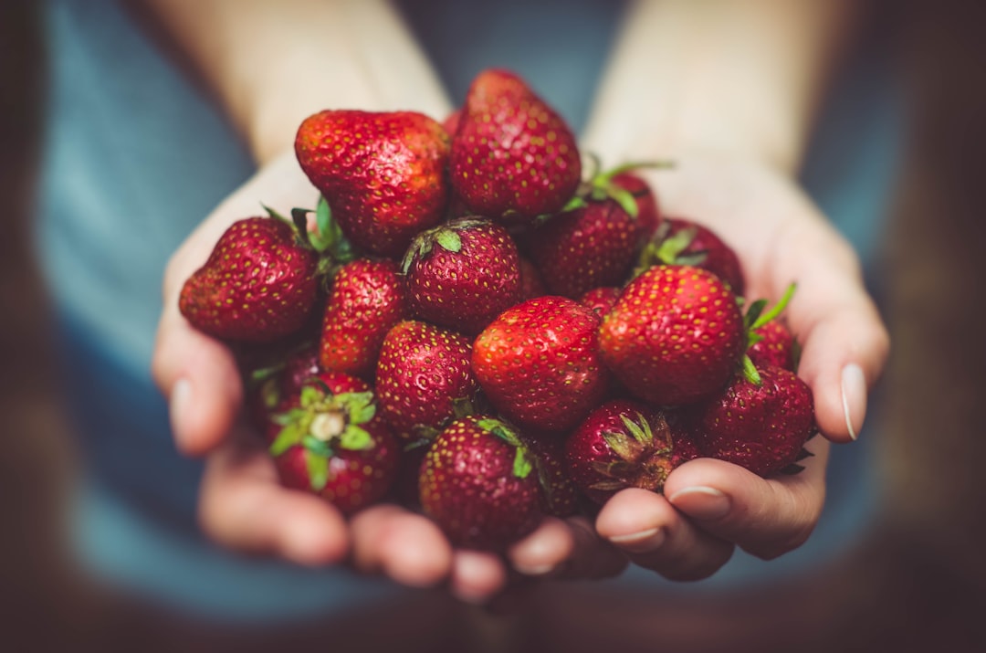 Hydroponic Tomatoes, Peppers, and Cucumbers: Maximizing Fruit Production