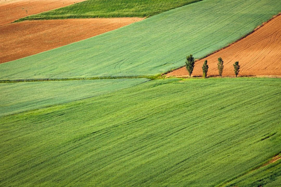 Drones in Agriculture: Applications and Benefits