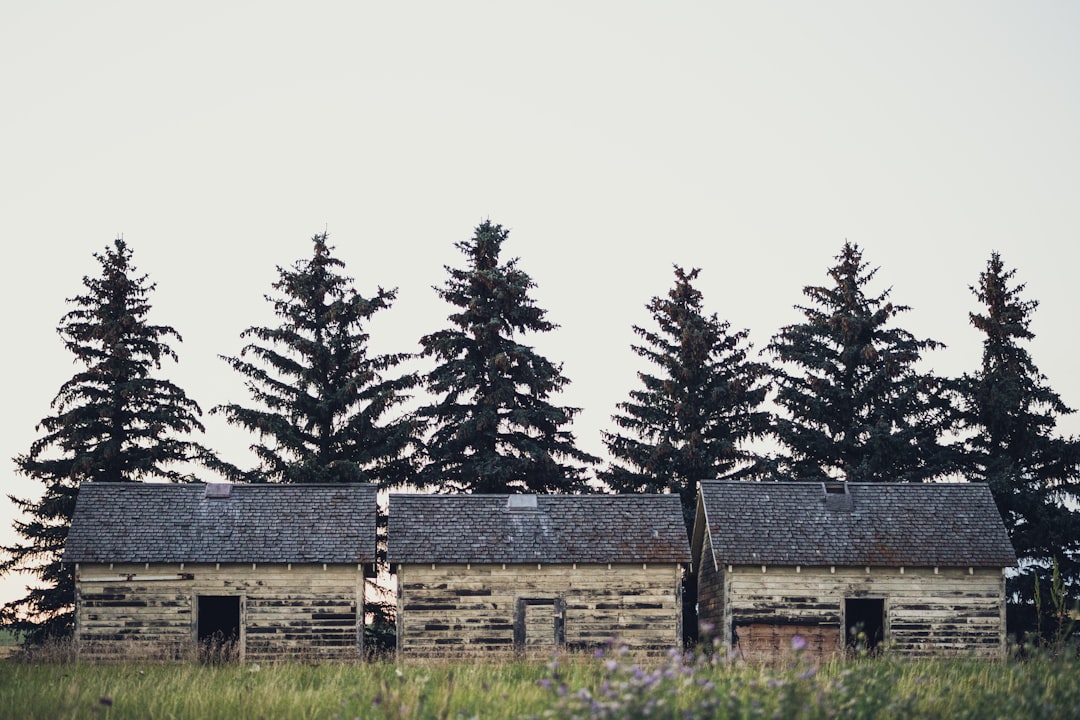 Managing Land and Property in a Rural Area