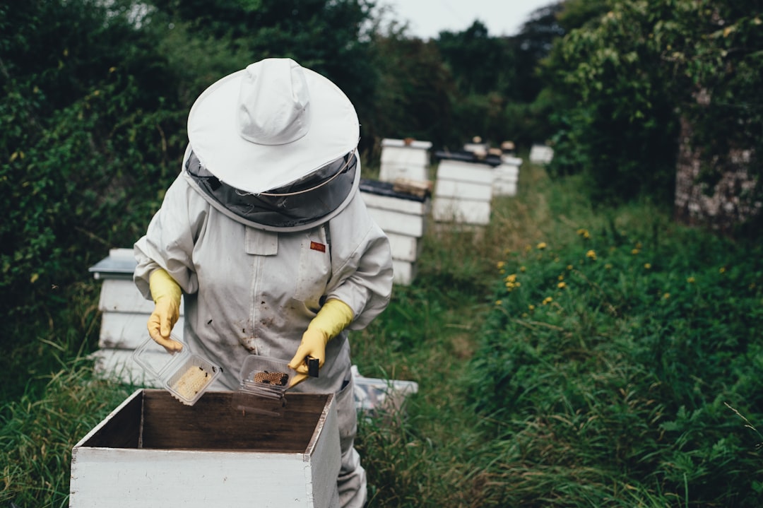 Honey Production: Techniques for Maximizing Yield and Quality Globally