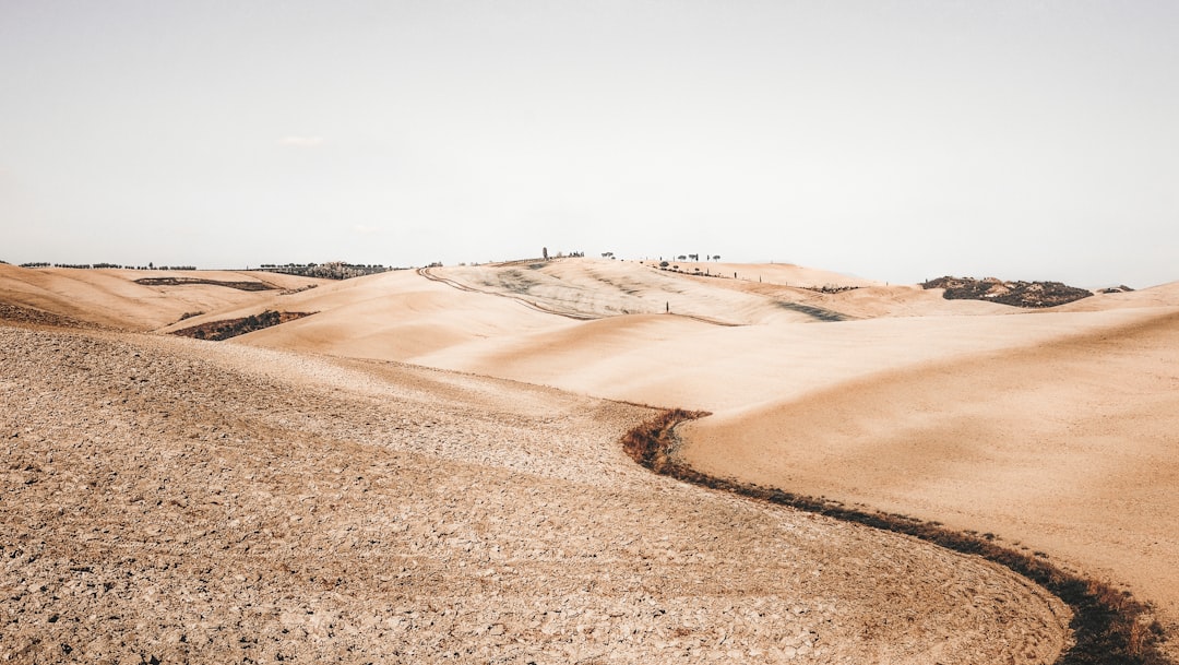 Understanding and Managing Soil pH for Optimal Nutrient Availability Across Different Plant Families