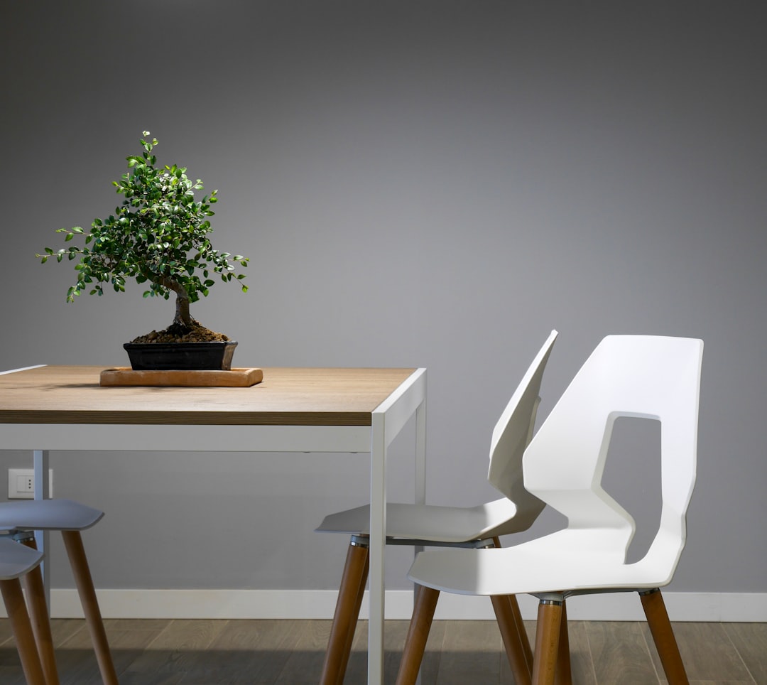 Cultivating Indoor Bonsai: Choosing Suitable Species and Providing the Right Conditions
