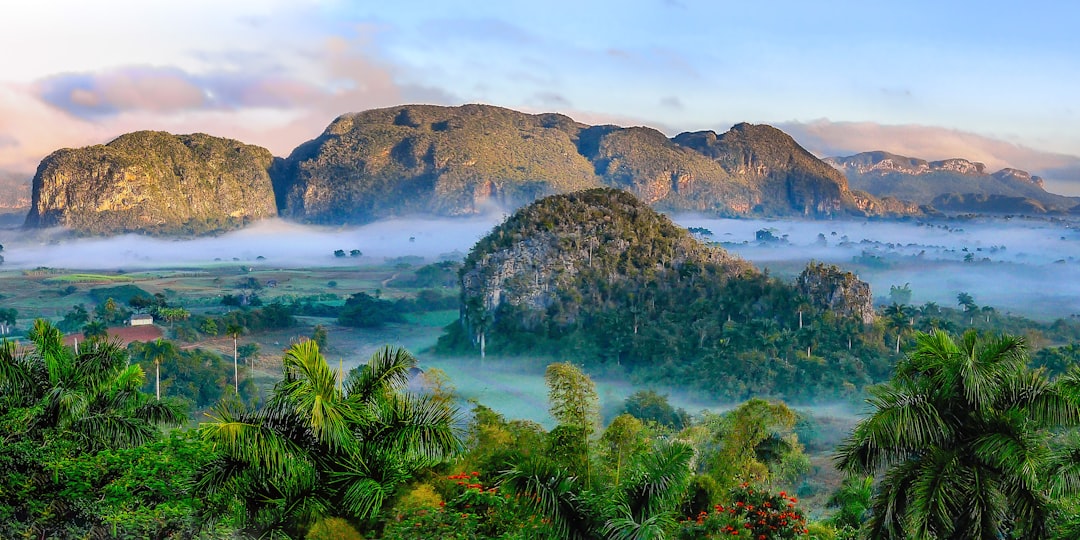 Overexploitation of Natural Resources: Sustainable Management and Conservation