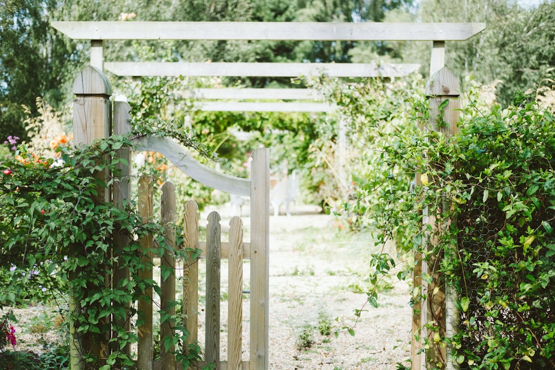 Starting a Community Garden Plot: Connecting with Others and Growing Together