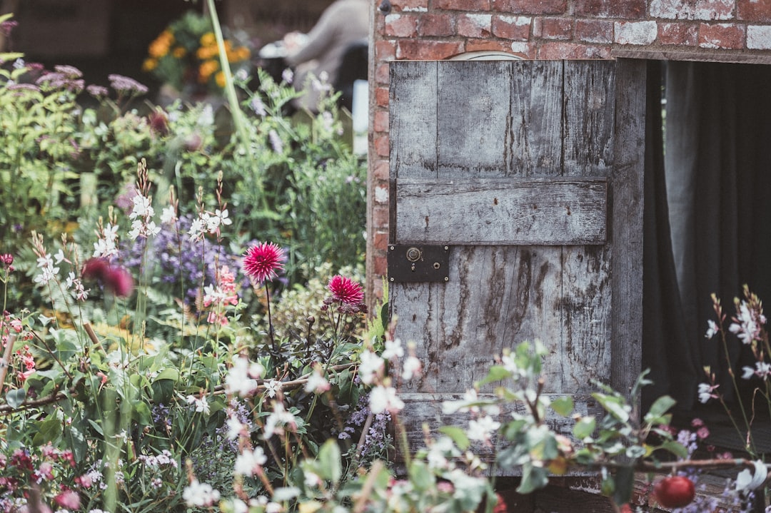 What Is a Community Garden? Building Green Spaces and Stronger Communities