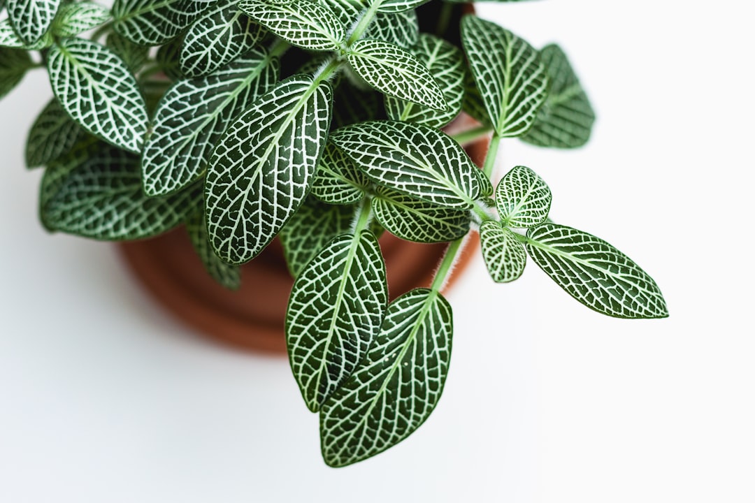 Creating Your Own Potting Mixes: Recipes for Healthy Container Plants