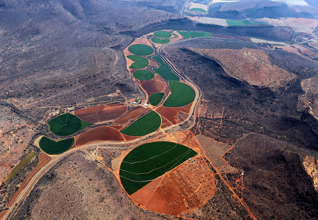 Water Scarcity and Its Implications for Agriculture and Food Security