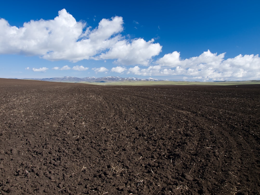 Decoding Advanced Soil Tests: Understanding Micronutrients, Cation Exchange Capacity, and Biological Activity