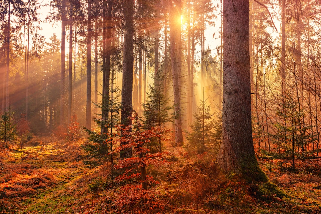 The Benefits of Outdoor Exercise and Connecting with Nature