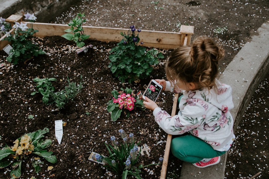 Planning and Designing a Community Garden: From Concept to Implementation