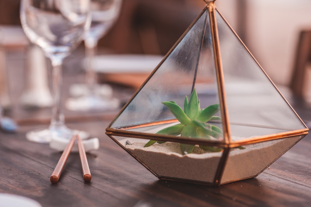 Terrariums as Unique Gifts and Decorative Items: Bringing Nature Into Any Space