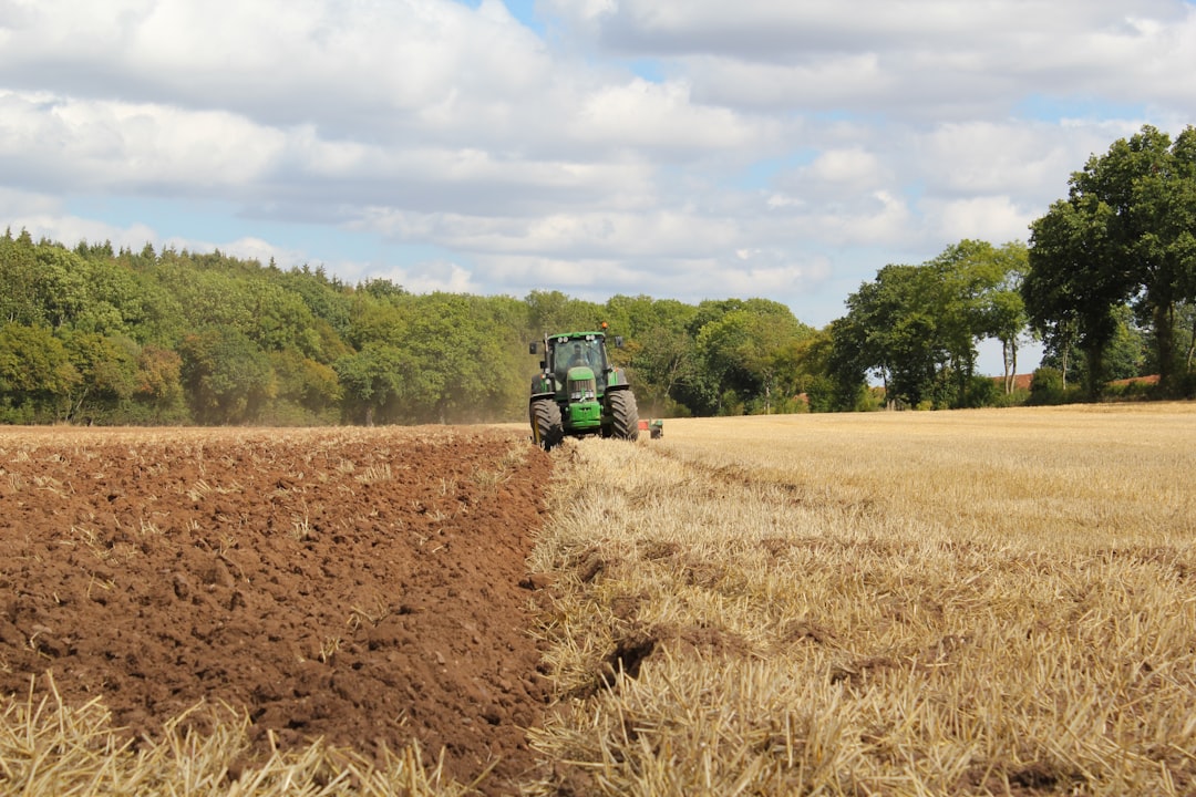 The Importance of Biodiversity in Sustainable Farming