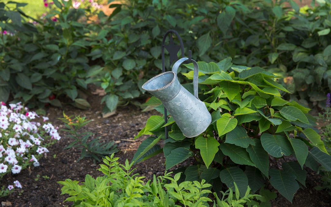 Essential Gardening Tools for Beginners: What You Really Need (and What You Don’t)