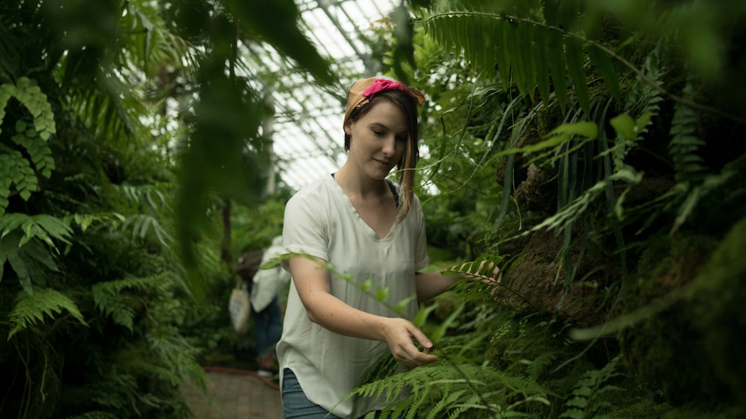 The Universal Needs of Plants: Light, Water, Air, Nutrients, and Support Explained