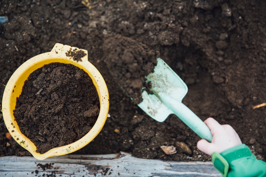 Identifying When Your Compost is Ready to Use: A Simple Guide for Gardeners