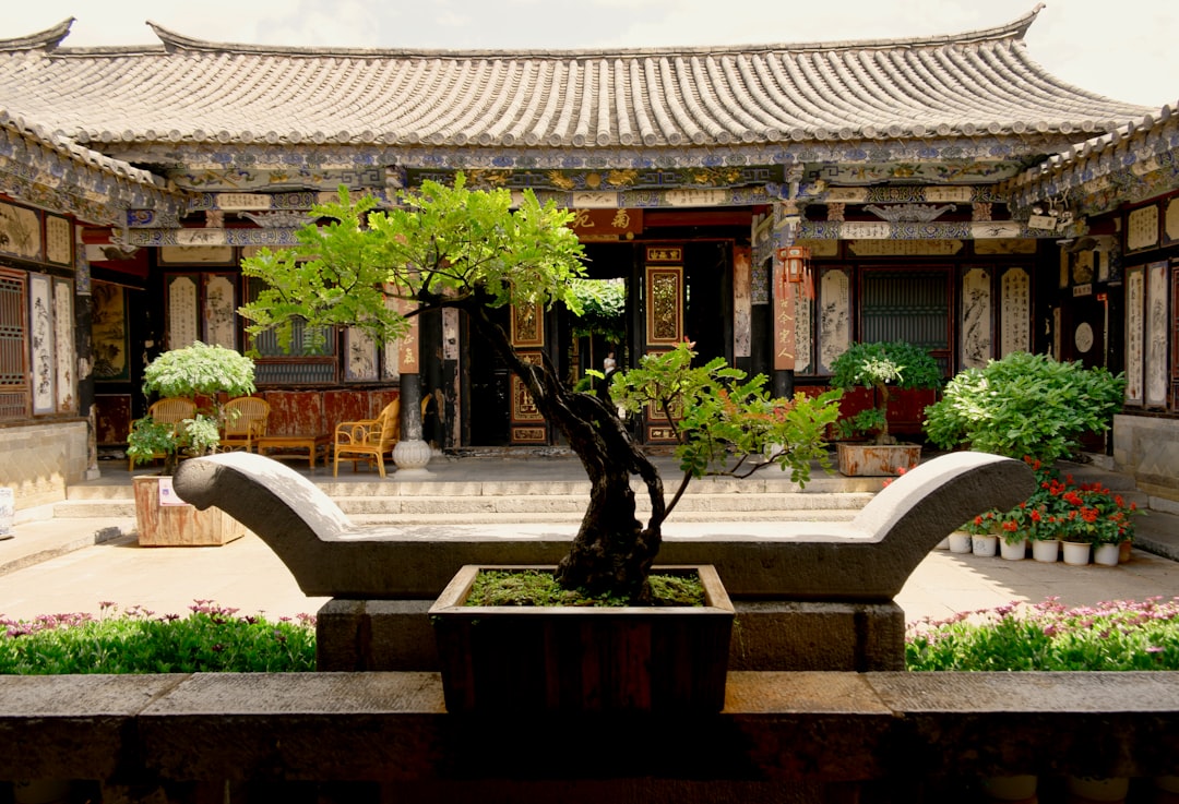 Creating Bonsai Landscapes: Forest Style (Yose-ue) and Rock Planting (Ishitsuki)