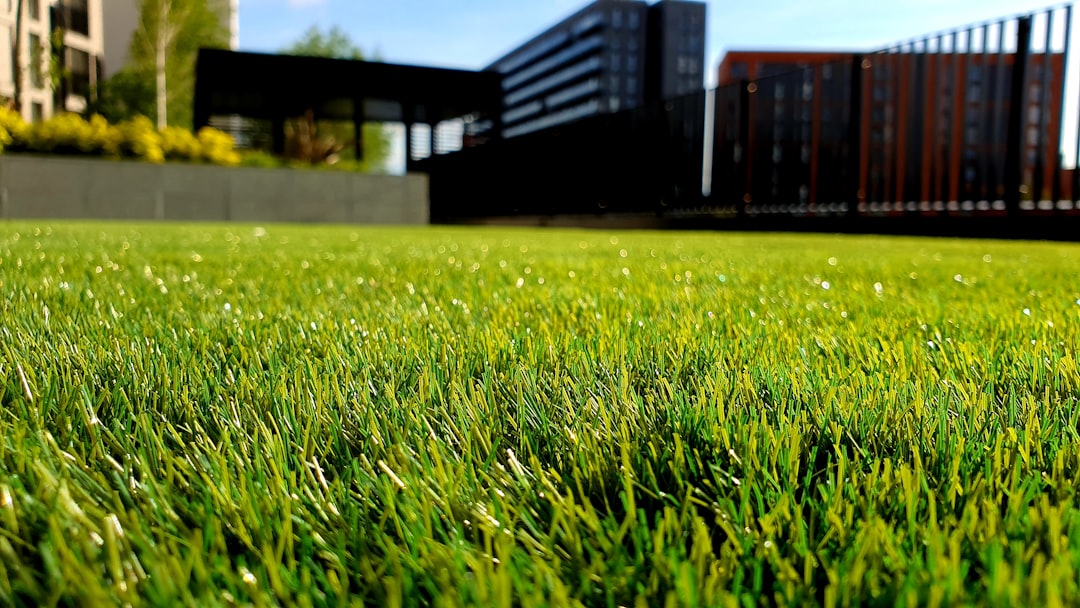 Turfgrass Agronomy: The Science Behind Healthy Lawns and Sports Fields