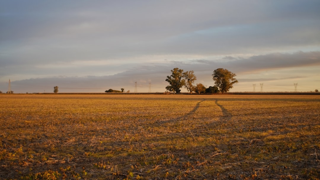 Careers in Agronomy: Opportunities in a Vital Field