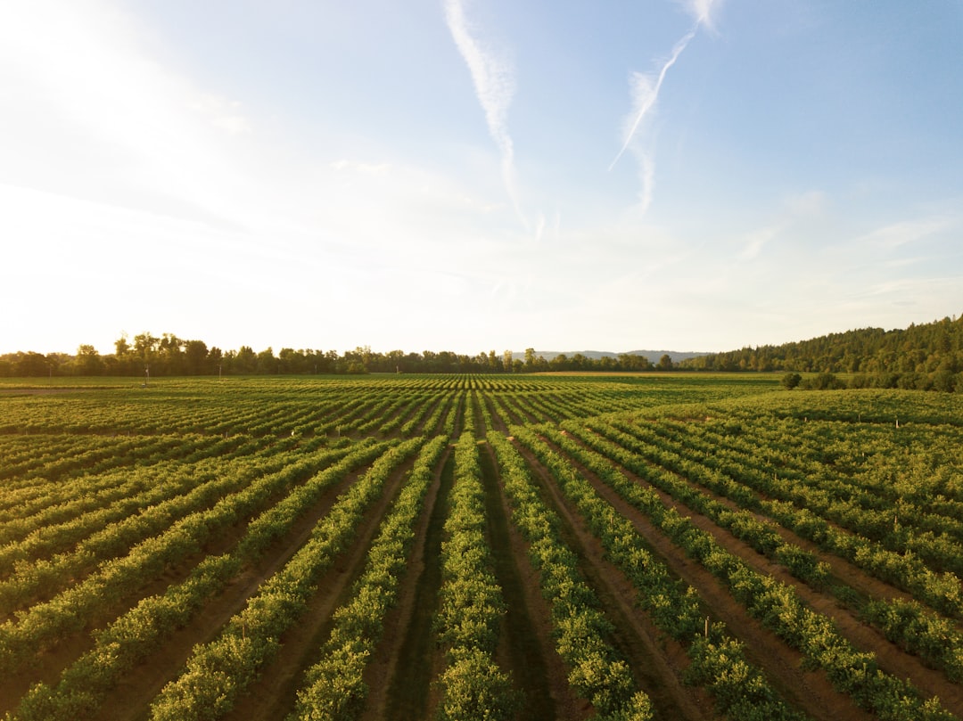 Nematode Management in Agriculture: Understanding the Threat and Implementing Control Measures