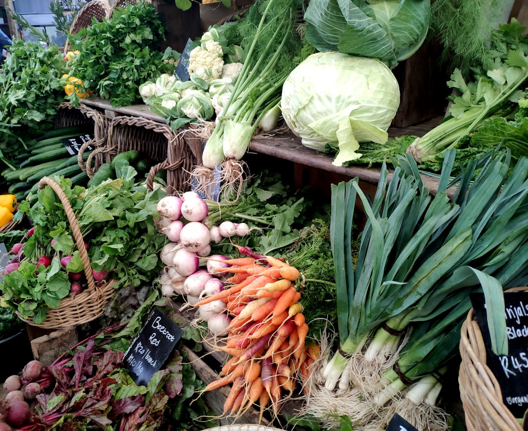 Water Management in Hydroponic Systems: Ensuring Proper Circulation and Oxygenation