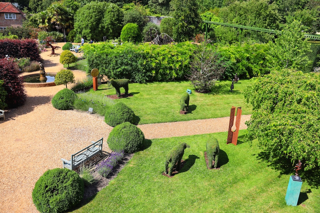 Understanding Different Types of Soil: How to Improve Your Garden's Foundation