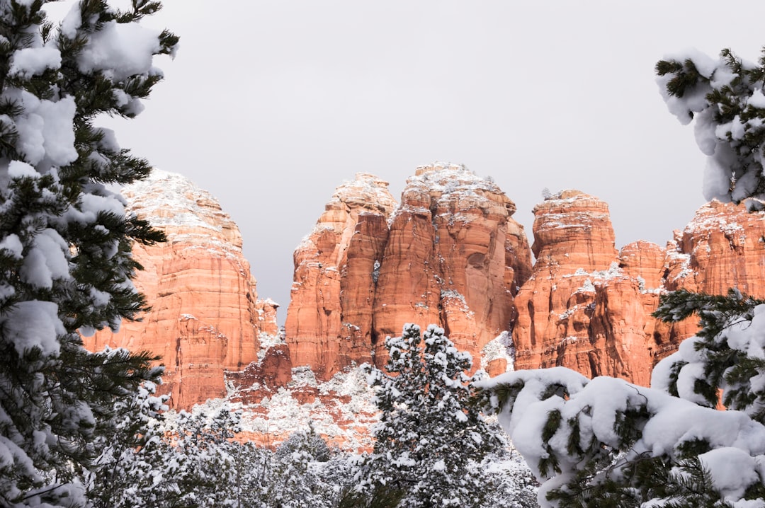 Gardening in Cold Climates: Protecting Plants and Extending the Growing Season