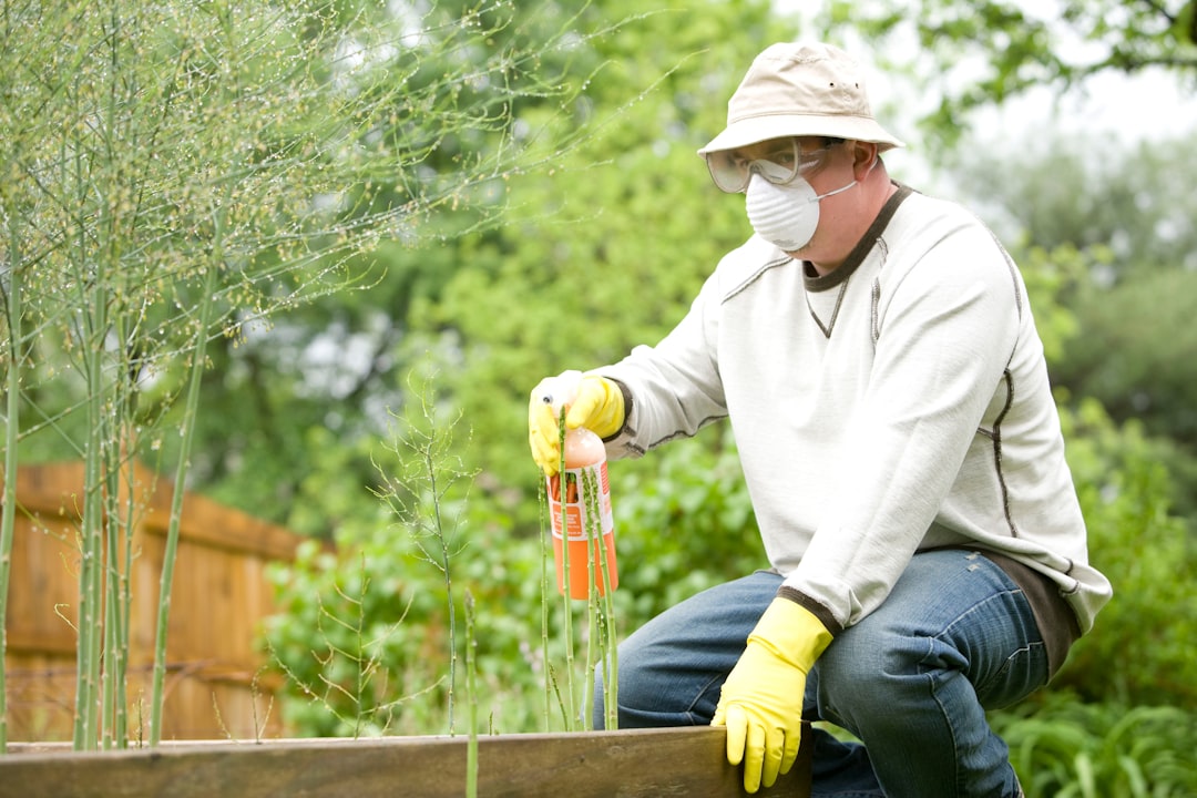 Simple Pest Control for Beginners: Natural and Non-Toxic Methods to Protect Your Plants