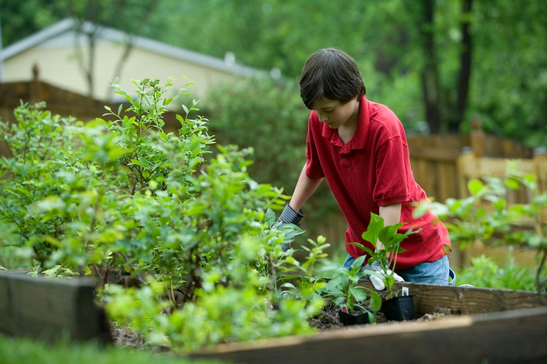 Supporting Organic Farmers: How Consumers Can Make a Difference