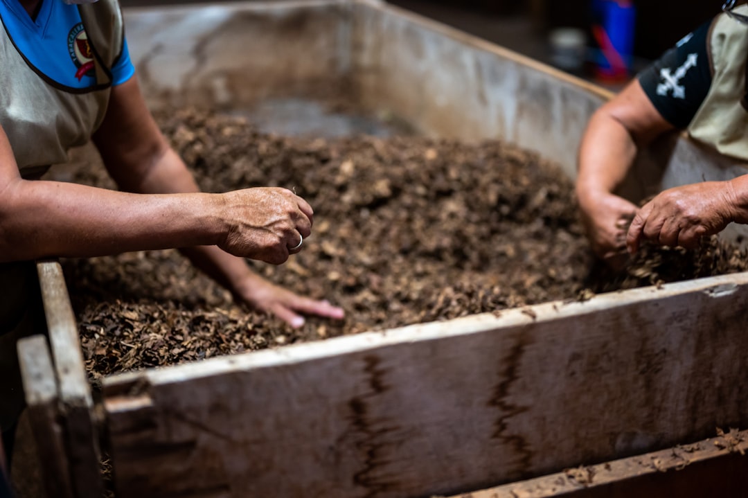 Using Compost Effectively in Different Gardening and Farming Applications