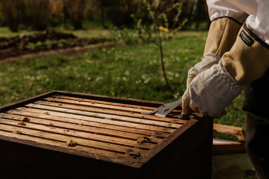 Sharing Success Stories from Beekeepers in Different Regions