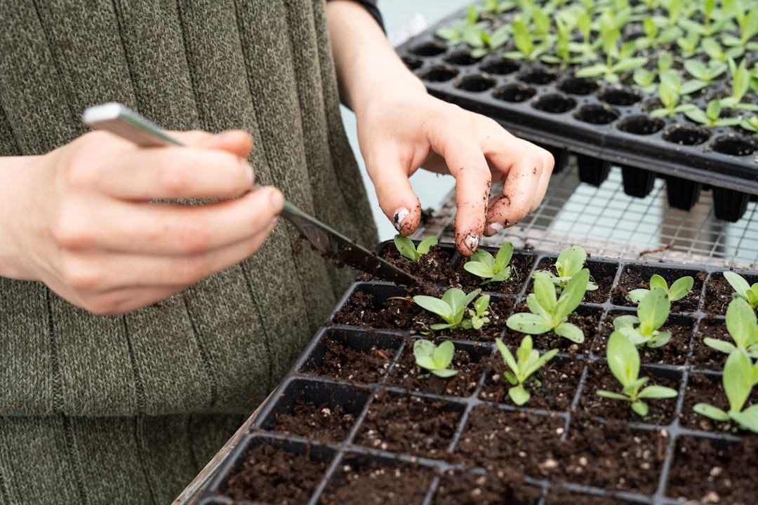 The Science of Seed: Germination, Quality, and Handling