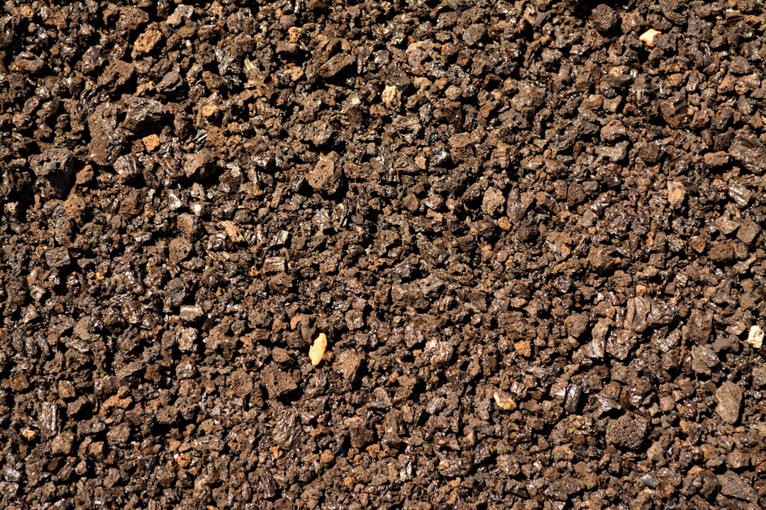 Understanding Soil Health: The Foundation of Successful Agronomy