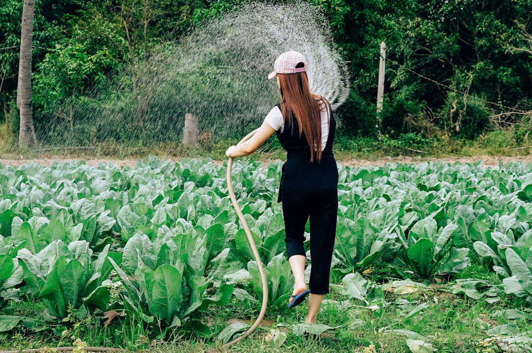 Watering Your Garden Like a Pro: Avoiding Overwatering and Underwatering