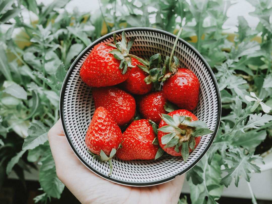 Growing Strawberries and Other Berries Hydroponically