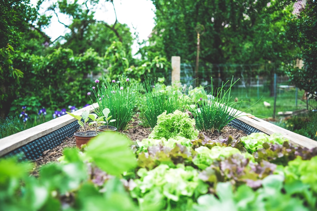 Secrets to a Bountiful Herb Garden: From Planting to Harvesting