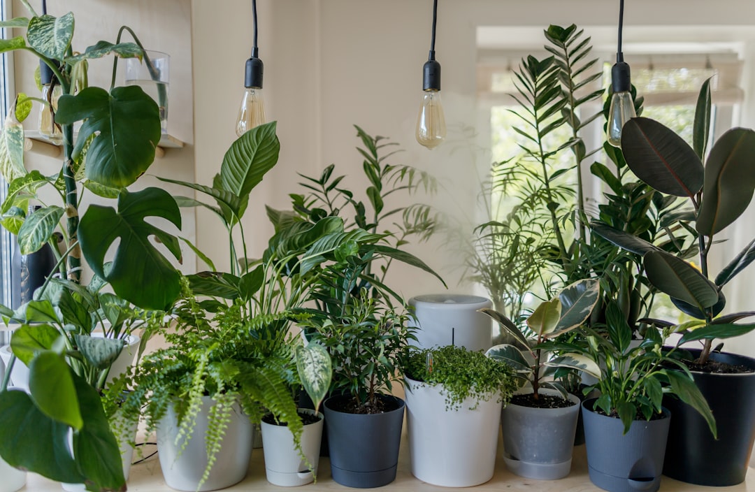 Indoor Gardening with Advanced Lighting Systems: Understanding PAR, PPFD, and Light Spectrum