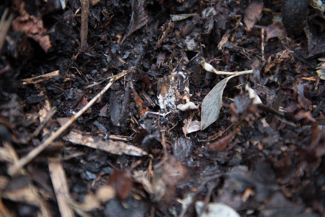 The Art and Science of Vermicomposting at Scale: Creating High-Quality Soil Amendments