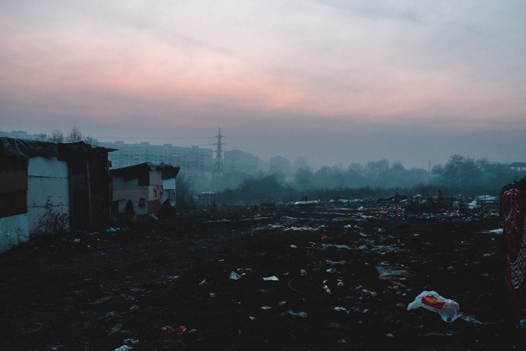 Pollution and Environmental Degradation: Impacts on Ecosystems and Human Health