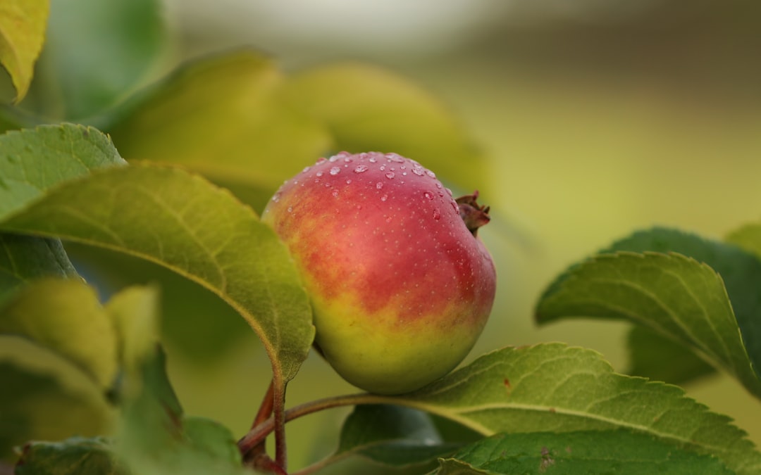 The Beauty of the Changing Seasons on a Farm