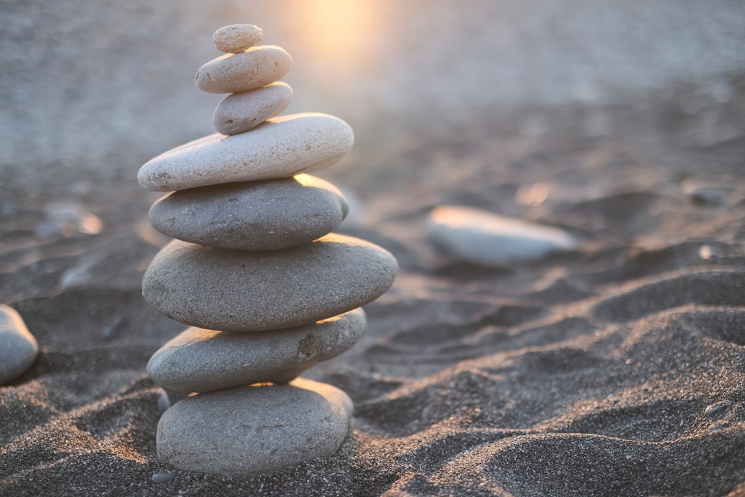 Sustainable Development and Ecological Principles: Finding a Balance Between Human Needs and Environmental Protection