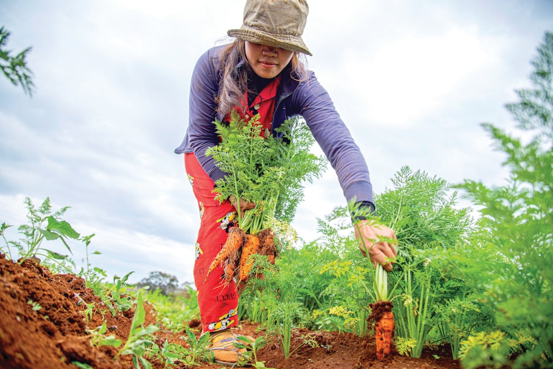 Gardening with Limited Time: Quick Tips for Busy Gardeners