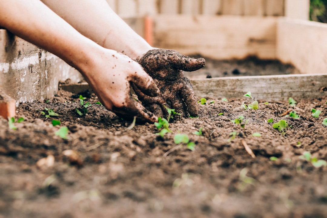 Creating a Plant Care Routine That Works for Your Lifestyle