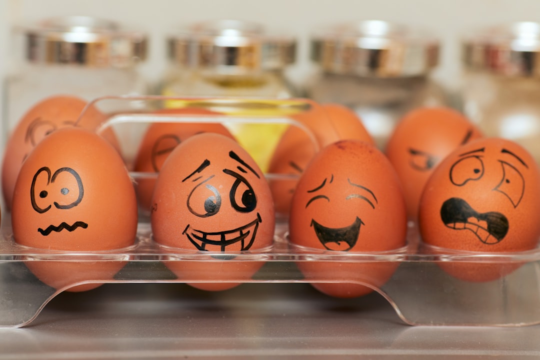 Understanding Different Egg Labels: A Global Guide to Production Methods and Quality