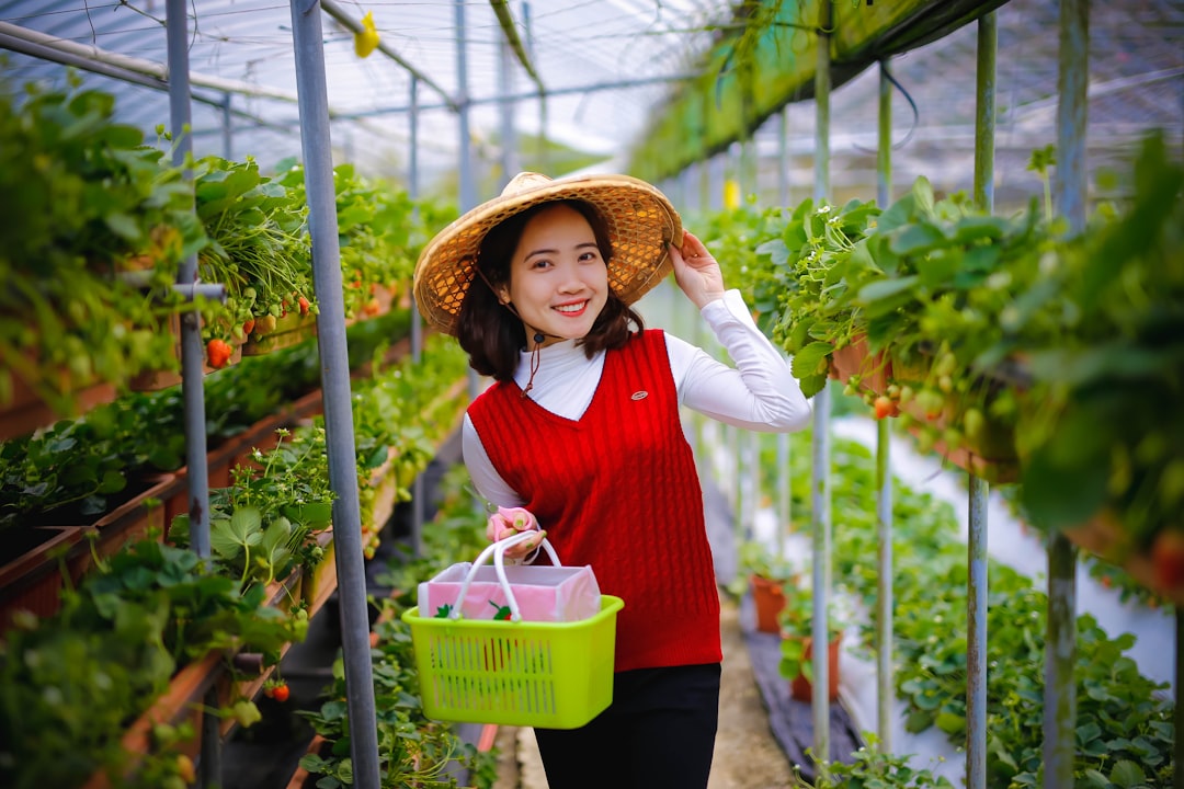 Understanding Vertical Gardening: Maximizing Space in Small Gardens