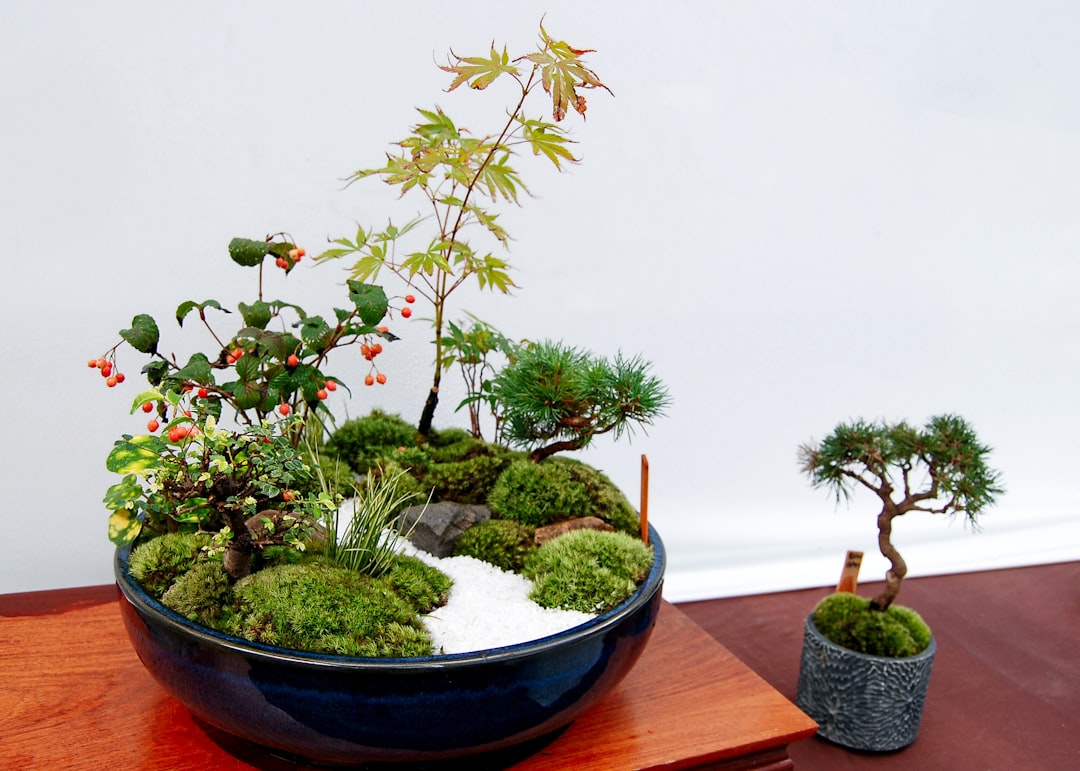 Repotting Bonsai: Refreshing the Soil and Managing Root Growth