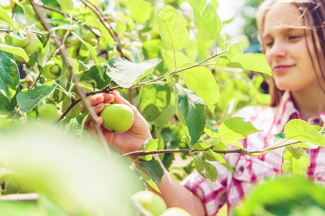 Understanding the Role of Mycorrhizal Fungi and Other Beneficial Microbes in Plant Nutrition